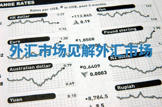 外汇市场见解 外汇 市场