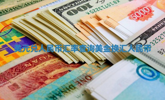 美元兑人民币汇率查询_美金换汇人民币