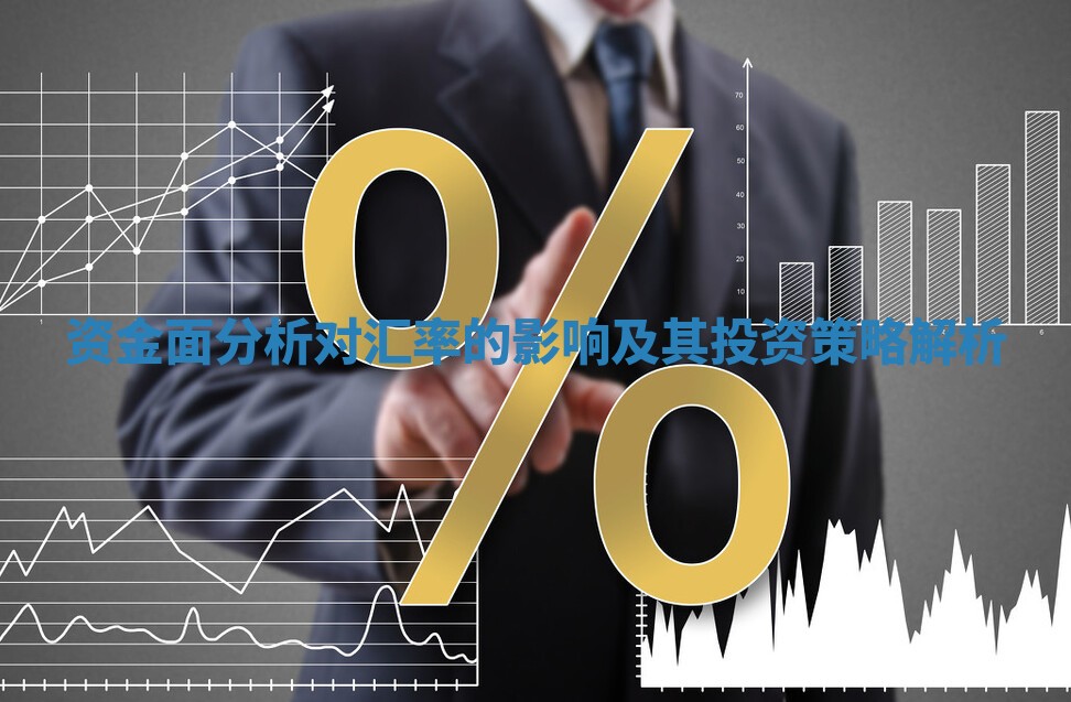 资金面分析对汇率的影响及其投资策略解析