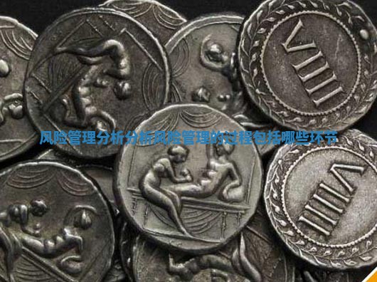 风险管理分析 分析风险管理的过程包括哪些环节